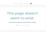 fix wordperss bugs  errors or woocommerce errors